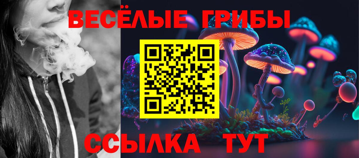 Псилоцибиновые грибы прущие грибы  Галлюциногенные грибы Magic Shrooms  Брянск  Вход с VPN 